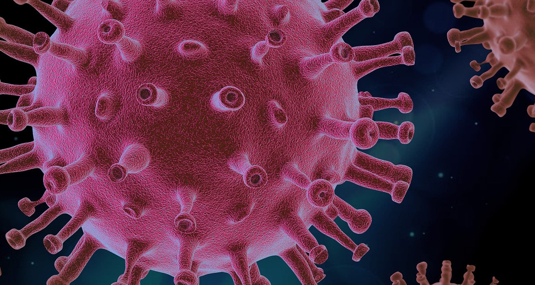 Coronavirus Informational Resources​